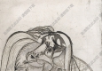 畢加索名畫_哭泣的女人_素描稿_高清大圖下載