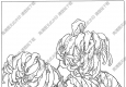 菊花白描線稿17高清圖片下載