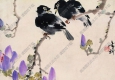 張書(shū)旗國(guó)畫(huà) 鸜鵒紫蕊圖 高清大圖下載