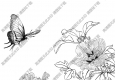 芙蓉線描畫底稿21高清大圖下載