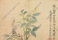清 惲壽平《花卉-桂花》國畫高清大圖下載