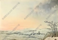 羅伯特桑頓_花之神殿_插畫(huà)31_高清大圖下載
