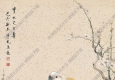 顏伯龍國(guó)畫(huà) 茶花鸚鵡 高清大圖下載