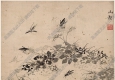 明 杜大成《花蝶草蟲圖冊頁》-10國畫高清大圖下載