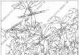 曼陀羅線描畫底稿12高清大圖下載