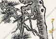 呂鳳子作品 松梅圖 高清大圖下載