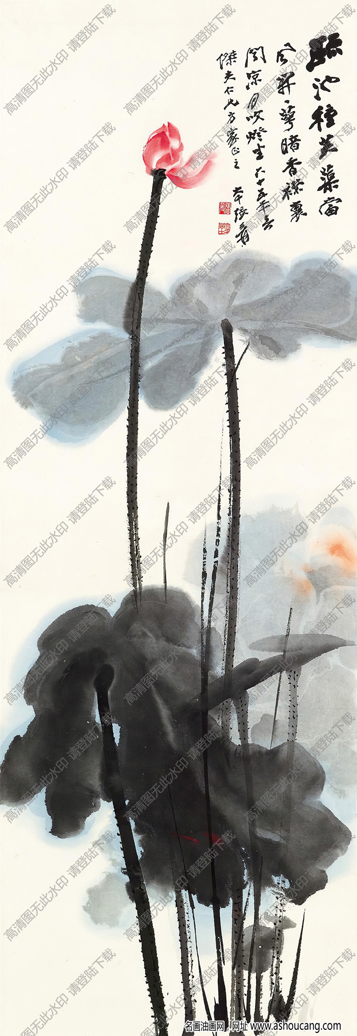 張大千作品_荷花_涼月吹燈坐_六十五年春_高清大圖下載