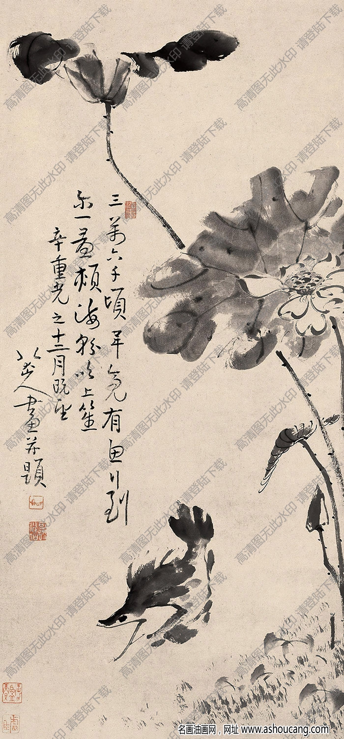 八大山人作品 荷塘魚戲 高清大圖下載