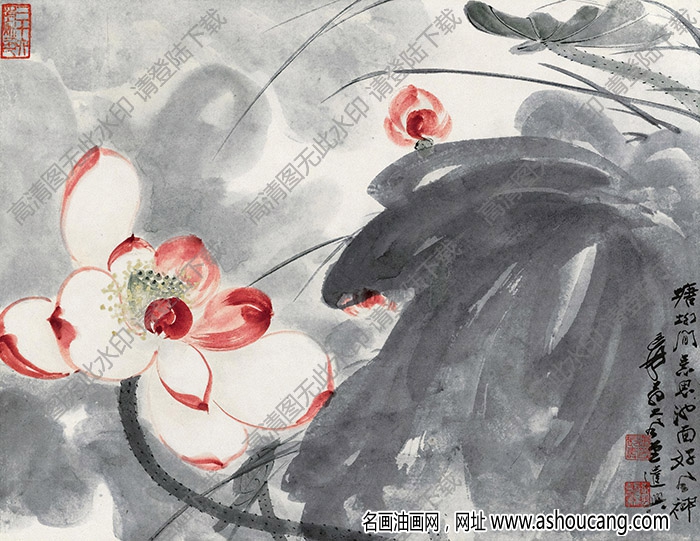 張大千作品_荷花_爰翁大風(fēng)堂遣興_高清大圖下載