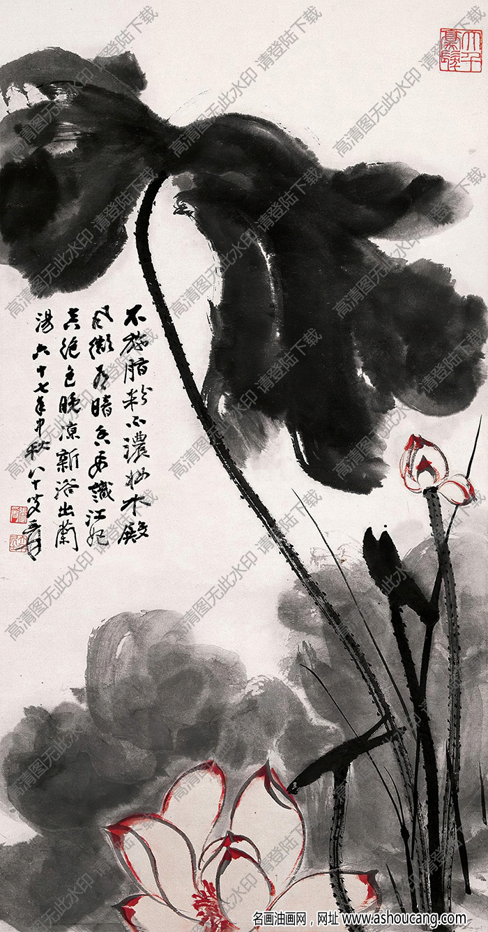 張大千作品_荷花_江妃出浴_八十歲時作_高清大圖下載