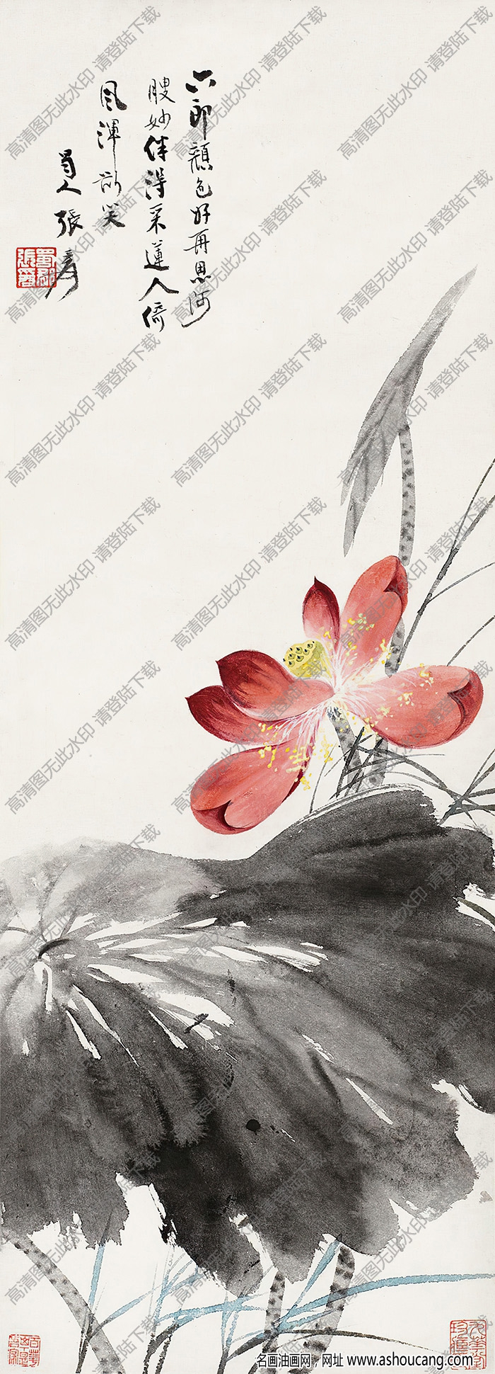 張大千作品_荷花_伴得采蓮人_倚風(fēng)渾欲笑_高清大圖下載