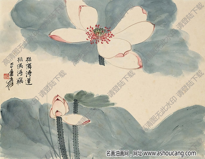 張大千作品_荷花_相憐得蓮_相偶得藕_高清大圖下載