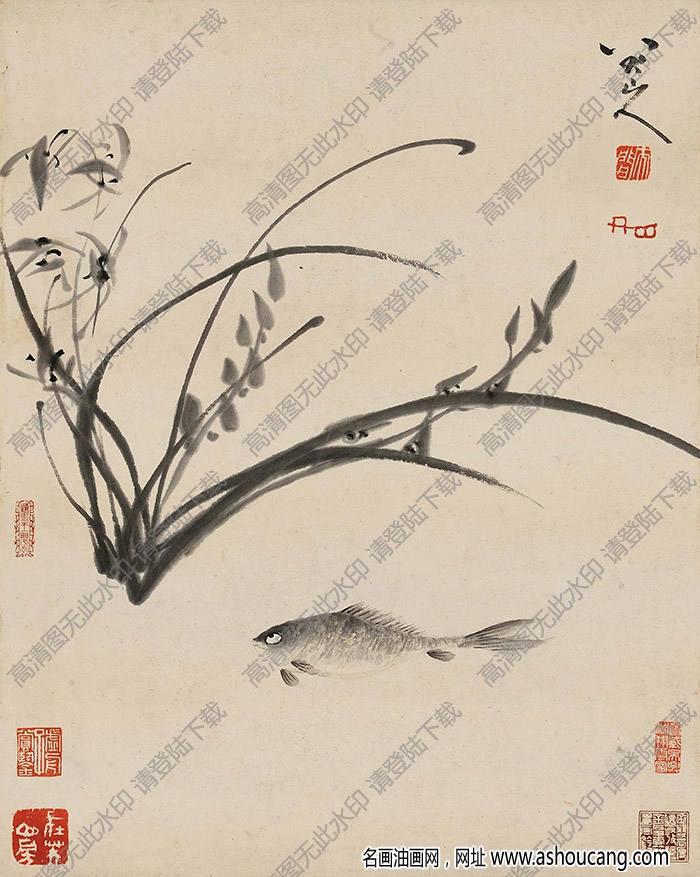 八大山人作品 幽蘭圖 高清大圖下載