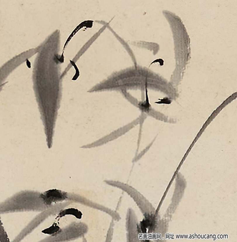 八大山人作品 幽蘭圖 高清大圖下載