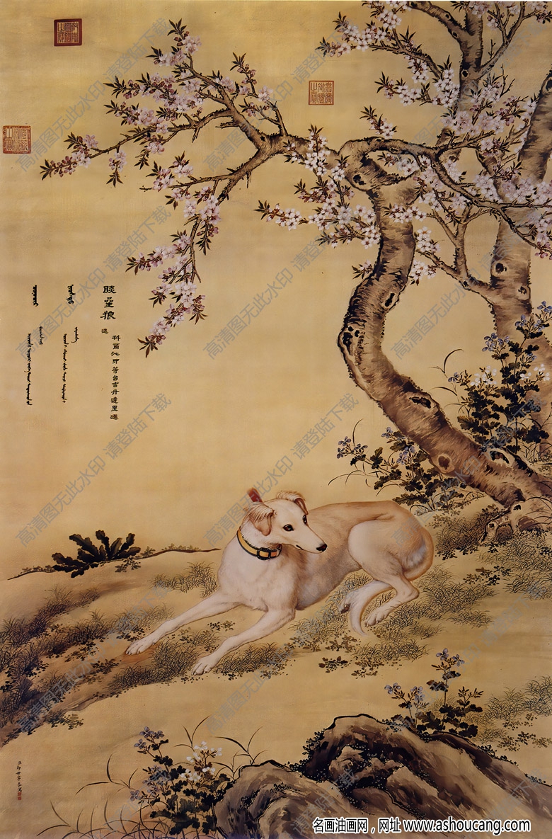 郎世寧 十駿犬圖1-晱星狼 高清名畫下載