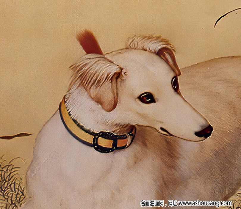 郎世寧 十駿犬圖1-晱星狼 高清名畫下載