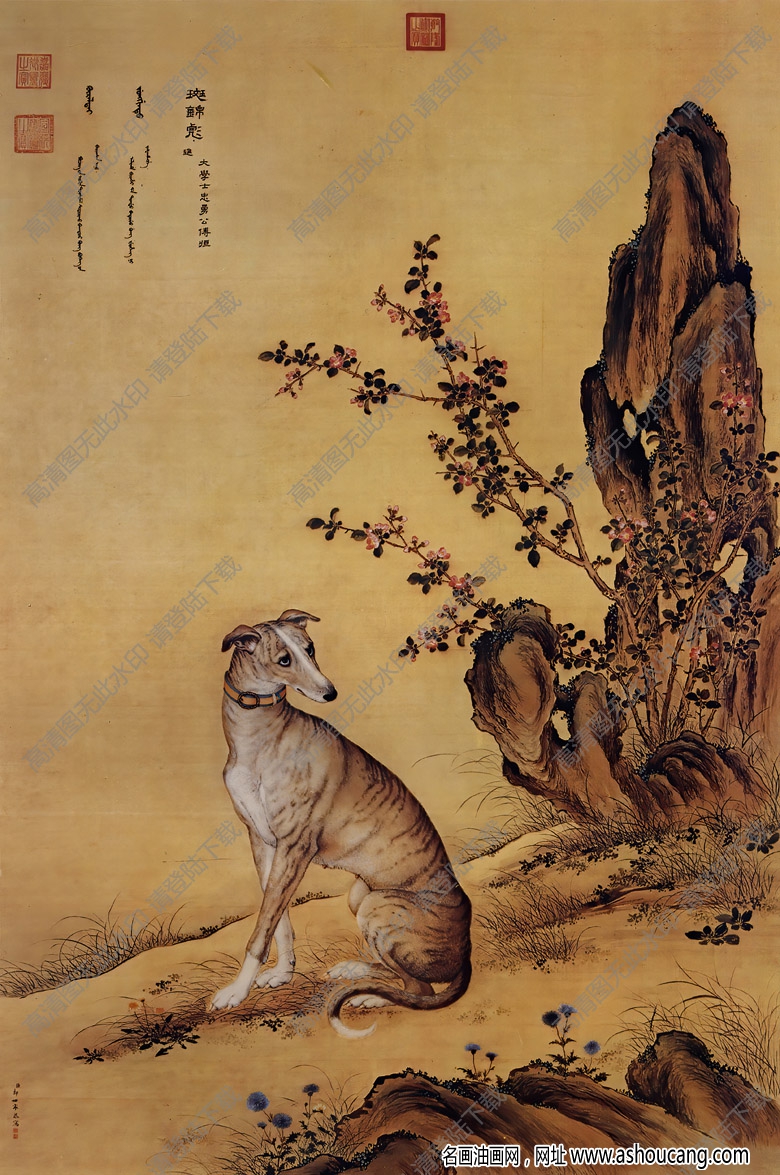 郎世寧 十駿犬圖2-斑錦彪 高清名畫下載