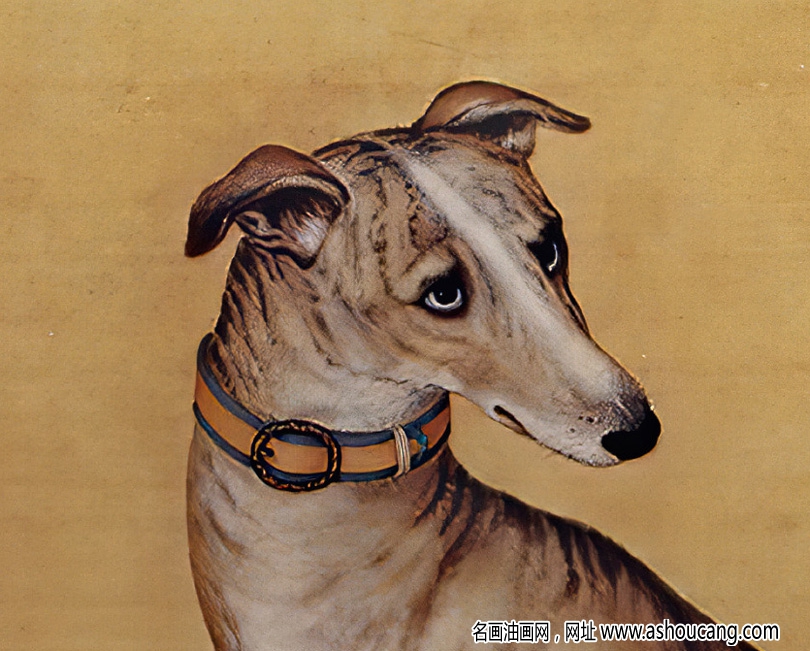 郎世寧 十駿犬圖2-斑錦彪 高清名畫下載