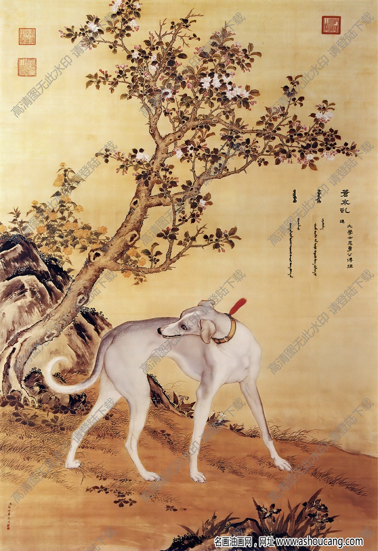 郎世寧 十駿犬圖3-蒼水虬 高清名畫下載
