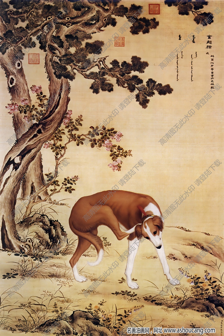 郎世寧 十駿犬圖5-金翅獫 高清名畫下載