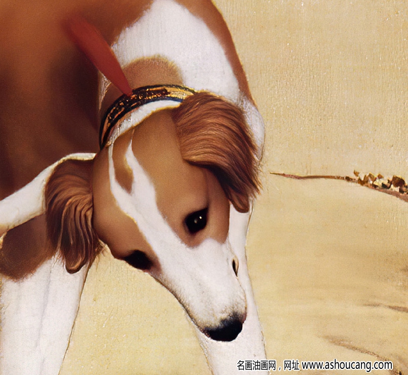 郎世寧 十駿犬圖5-金翅獫 高清名畫下載