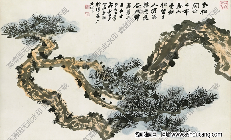 張大千國畫_松壽圖_老松閱世千年壽_高清作品下載