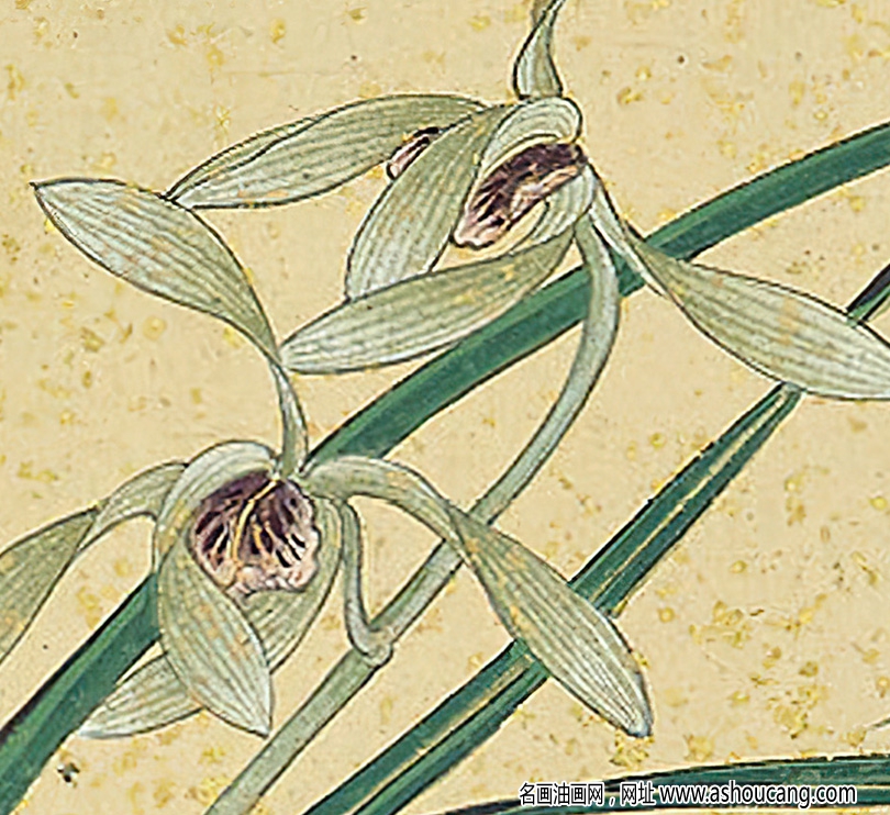 張大千作品_寫意蘭花_高清下載